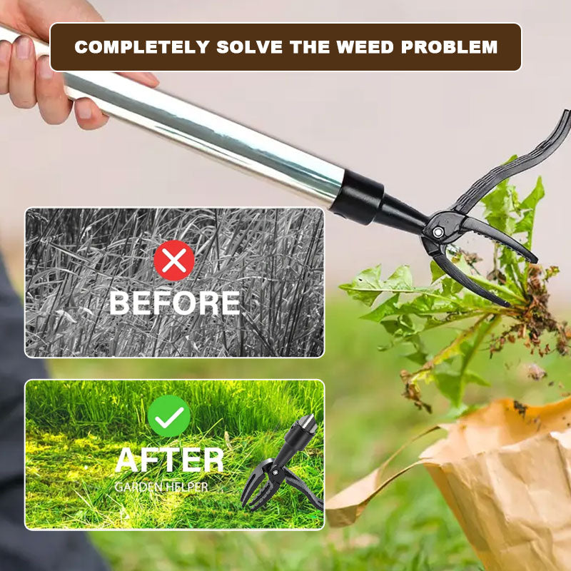Create Your Own Secret Garden in Seconds! 🌿💜✨
