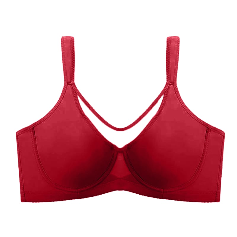 🔥 Today Only: Buy One, Get Two!💐Women's Elegant Sheer Full Coverage Minimizer Bra ✨ Plus Size for Large Busts