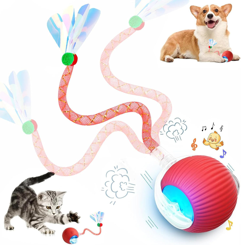 🐱Automatic Cat-Teasing Ball Interactive Pet Toys